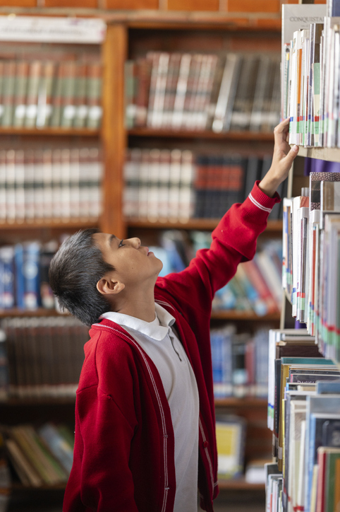 A little student in the library looking at the books